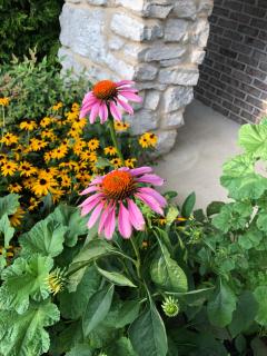 WINNIE'S BED & BREAKFAST - Lawrenceburg - 5