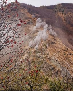 Red Stone Guest House - 3