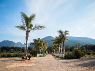 Mountain Breeze Log Cabins - Stormsrivier - 0