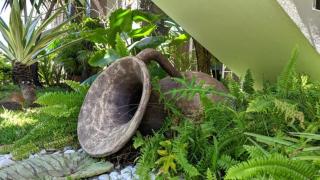 Lharmonie Villa - Pereybere - 9