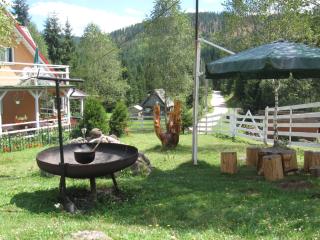 Podina Guest House - Poiana Horea - 3