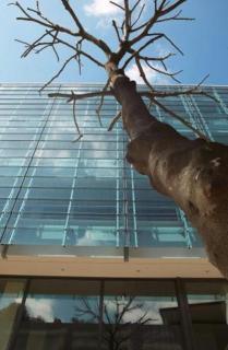 Life Gallery Athens - Athen - 2