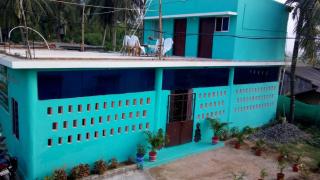 Mangrove Pitta - Bhitarkanika - 6