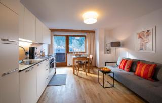 Appartements Falkner Dorli - Oetz - 8