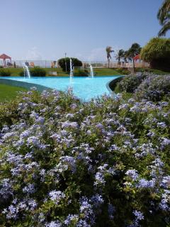 Studio Vue mer Haut de villa anse des rochers - 3