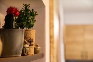 Studio Aries Postavarului - Braşov - 6