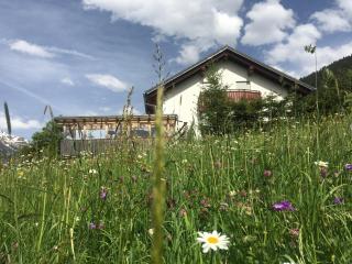 ARLALPIN - Pettneu am Arlberg - 3