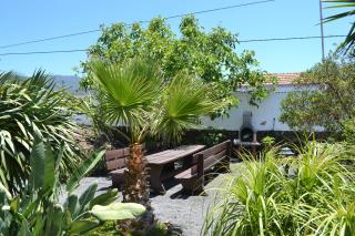 Finca Primavera - 2