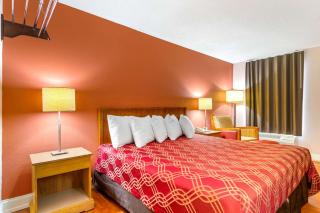 Econo Lodge - Decatur - 8