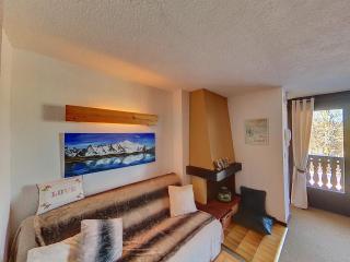 OEI20 - Studio 4/5 Pers proche centre Carroz - 4