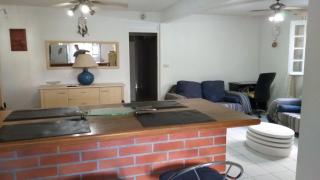 Grand F2 ou Sympathique Studio, spa, jardin, parking - 5