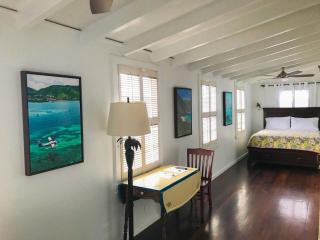 Sugar Apple Bed and Breakfast - Christiansted - 6