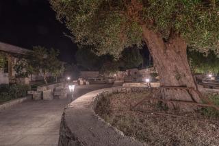 Masseria Cinti - 9