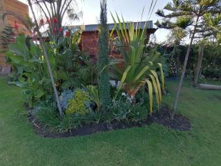 Cabañas la finca 2 - Atlixco - 1