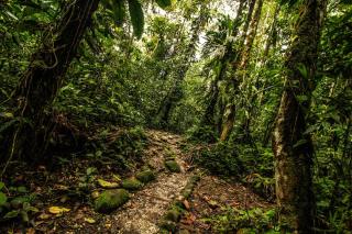 Guest House Great Hostels Amazon - Puyo - 4