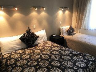 Cable Court Motel - Dunedin - 4