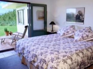 Waiwurrie Coastal Farm Lodge - Mahinepua - 6
