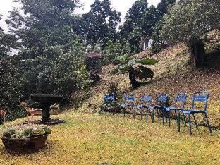 Dantica Cloud Forest Lodge - 8