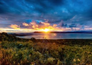 Cloudy Bay Cabin - 5