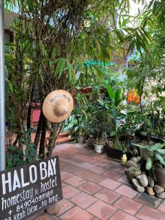 Halo Bay Homestay - Ha Long - 4