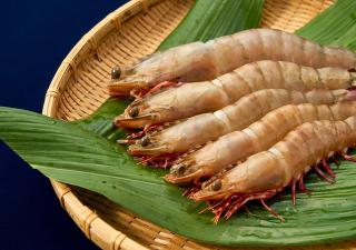 Shinwaka Lodge - Wakayama - 5