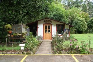 Cielito Sur Bed & Breakfast Inn - Cerro Punta - 5