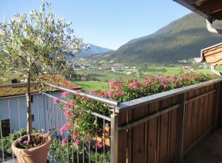 Haus Karin 3 - Brixen - 7