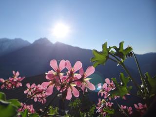 Unterthurnerhof - Rifiano - 6