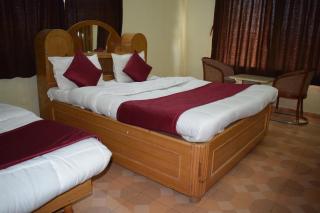 Manas Homestay by Sky Stays - Saputara - 5