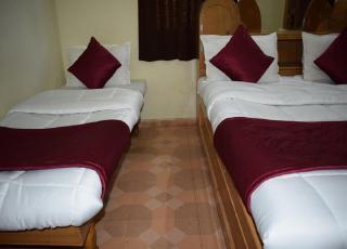 Manas Homestay by Sky Stays - Saputara - 8