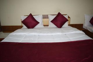 Manas Homestay by Sky Stays - Saputara - 3
