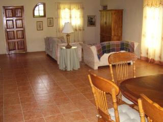 Teresinajamaica - Saint Anns Bay - 4