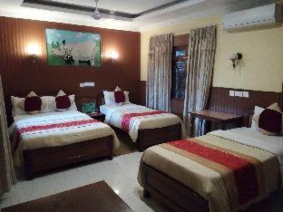 Hotel Wildlife Camp - Sauraha - 7