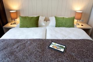 Hotel Astoria Superior - Bled - 6