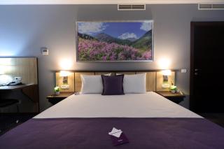 Mercure Tetovo - Tetovo - 4
