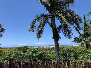 Ingwenya Lodge - 8