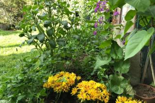 JAZZAPPART appartement classé 3 étoiles - Gentilly - 5