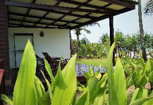 Emerald Sea Resort - 1