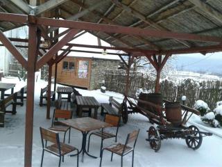 Karpaty Viking - Nizhneye Sinevidnoye - 3