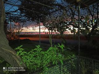 Airport Guest House - 8