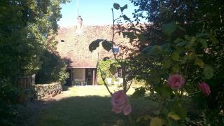 Le Petit Mingot - Druy-Parigny - 2