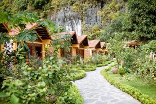 Tam Coc Luxury Homestay - 4