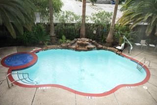 Best Western Champions Forest Inn and Suites - 9