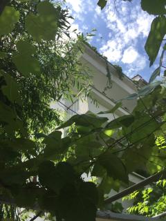Guest House Barbov - Obzor - 4