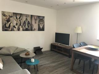 Loft Ferienwohnung Allgäu - Memmingen - 9