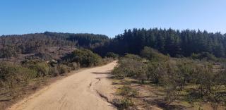 Departamento Papudo - 9