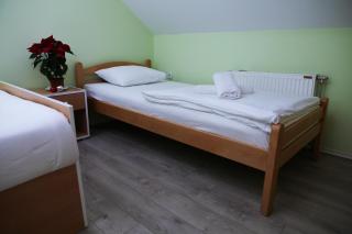Zmajevac Fruska Gora - Novi Sad - 2