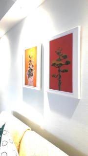 Unterkunft KIKI - Bad Salzuflen - 5