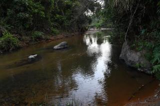 Nature INN Homestay - Hill Top Mountain View & River Access - Sakleshpur - 8