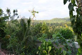 Nature INN Homestay - Hill Top Mountain View & River Access - Sakleshpur - 9